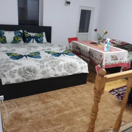 Sara 3 Dormitoare Nu Primesc Santieristi Si Petrecareti Holiday home *