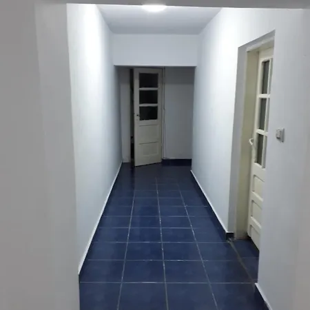 Sara 3 Dormitoare Nu Primesc Santieristi Si Petrecareti Holiday home *