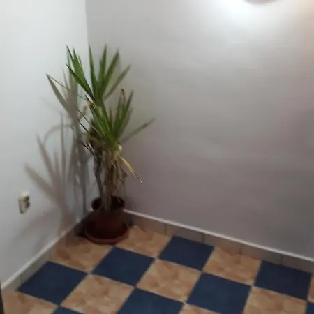 Tatil Evi Sara 3 Dormitoare Nu Primesc Santieristi Si Petrecareti