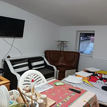 Sara 3 Dormitoare Nu Primesc Santieristi Si Petrecareti Бухарест