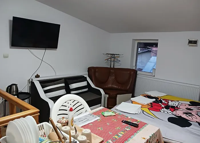 Sara 3 Dormitoare Nu Primesc Santieristi Si Petrecareti Βουκουρέστι