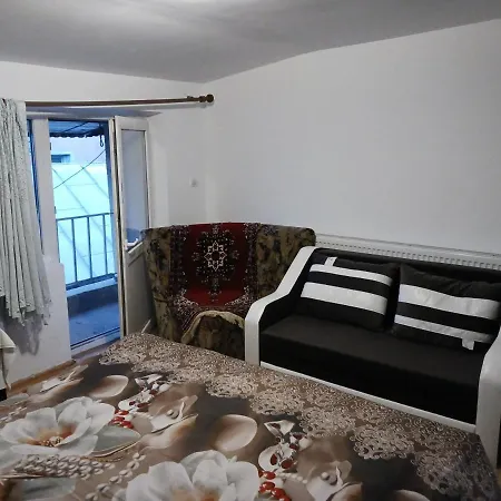 Sara 3 Dormitoare Nu Primesc Santieristi Si Petrecareti Hébergement de vacances