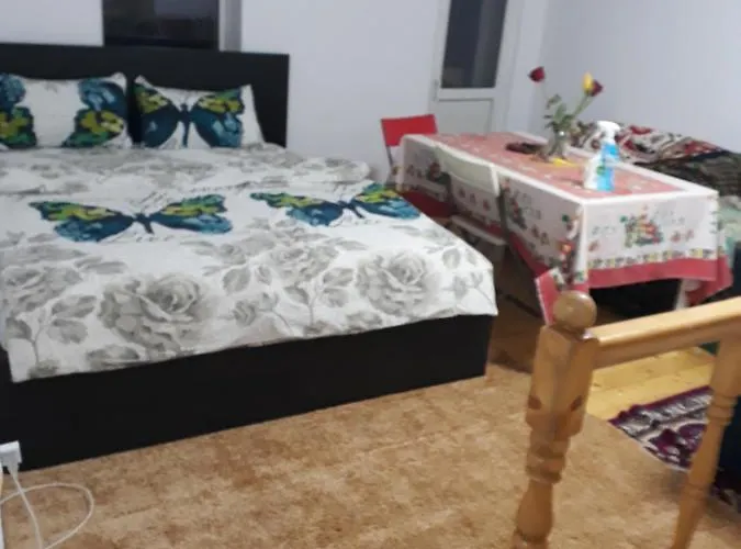 Sara 3 Dormitoare Nu Primesc Santieristi Si Petrecareti Case de vacanță *