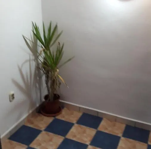 Nyaraló Sara 3 Dormitoare Nu Primesc Santieristi Si Petrecareti